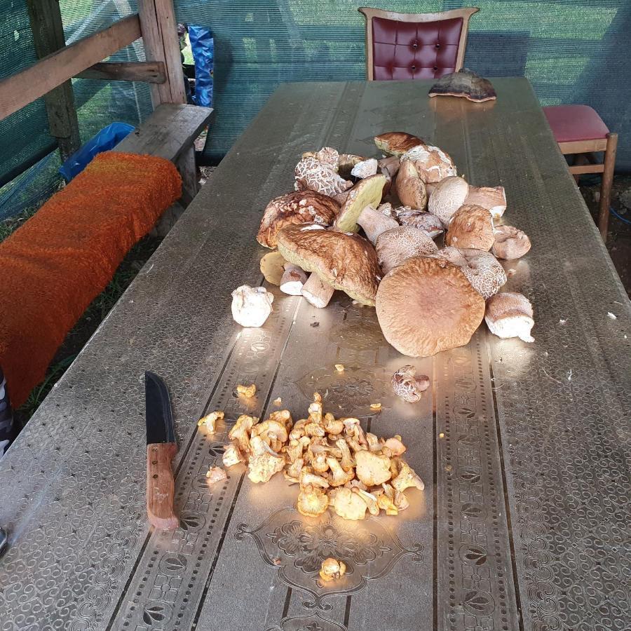 Planinska Koliba Ajdanovici Jelovac Nisicka Visoravan Olovo  Bagian luar foto