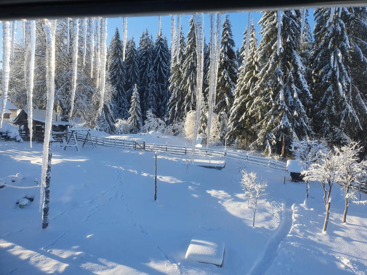 Planinska Koliba Ajdanovici Jelovac Nisicka Visoravan Olovo  Bagian luar foto