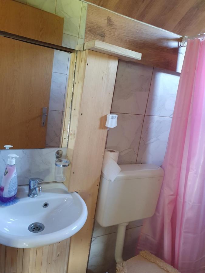 Planinska Koliba Ajdanovici Jelovac Nisicka Visoravan Olovo  Bagian luar foto
