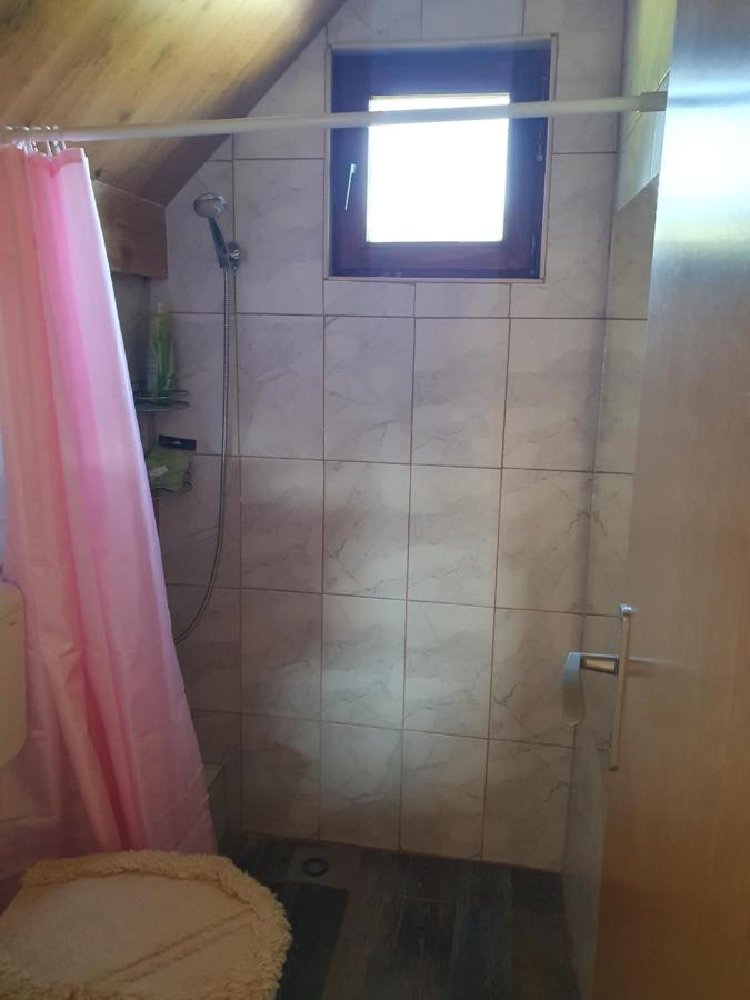 Planinska Koliba Ajdanovici Jelovac Nisicka Visoravan Olovo  Bagian luar foto